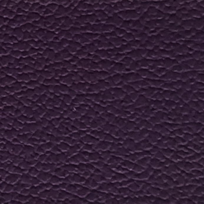 Lila BER033128