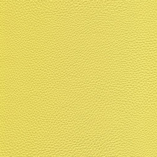 Endivie KPF032