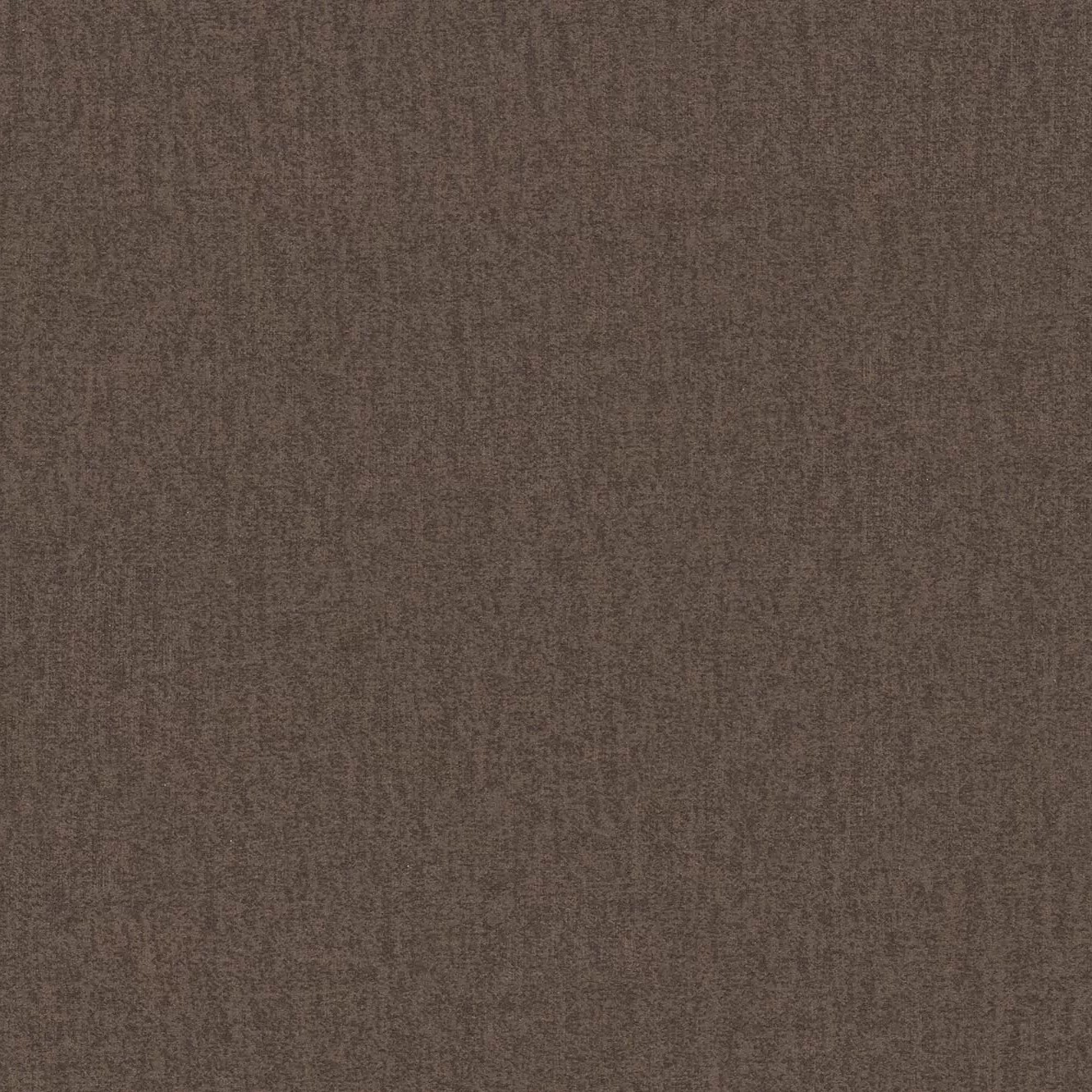 braun MON15