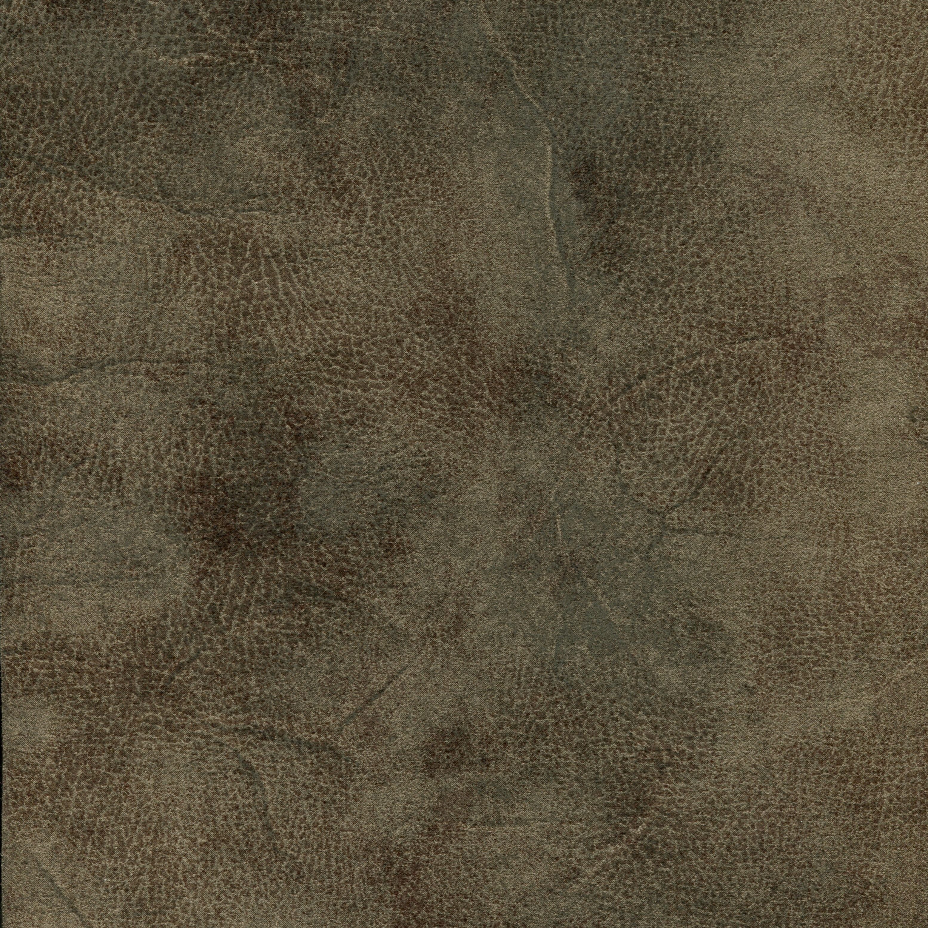 grauoliv RD05