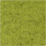 kiwi 713