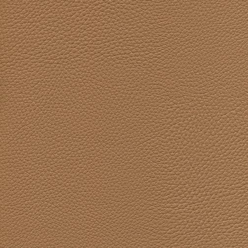 Cappucino KPF038