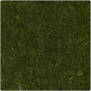 loden 156