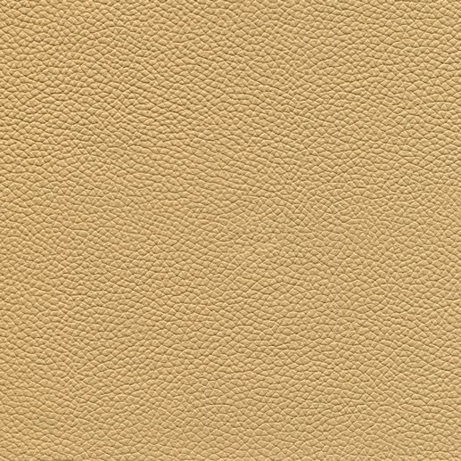 Champagner LE9039