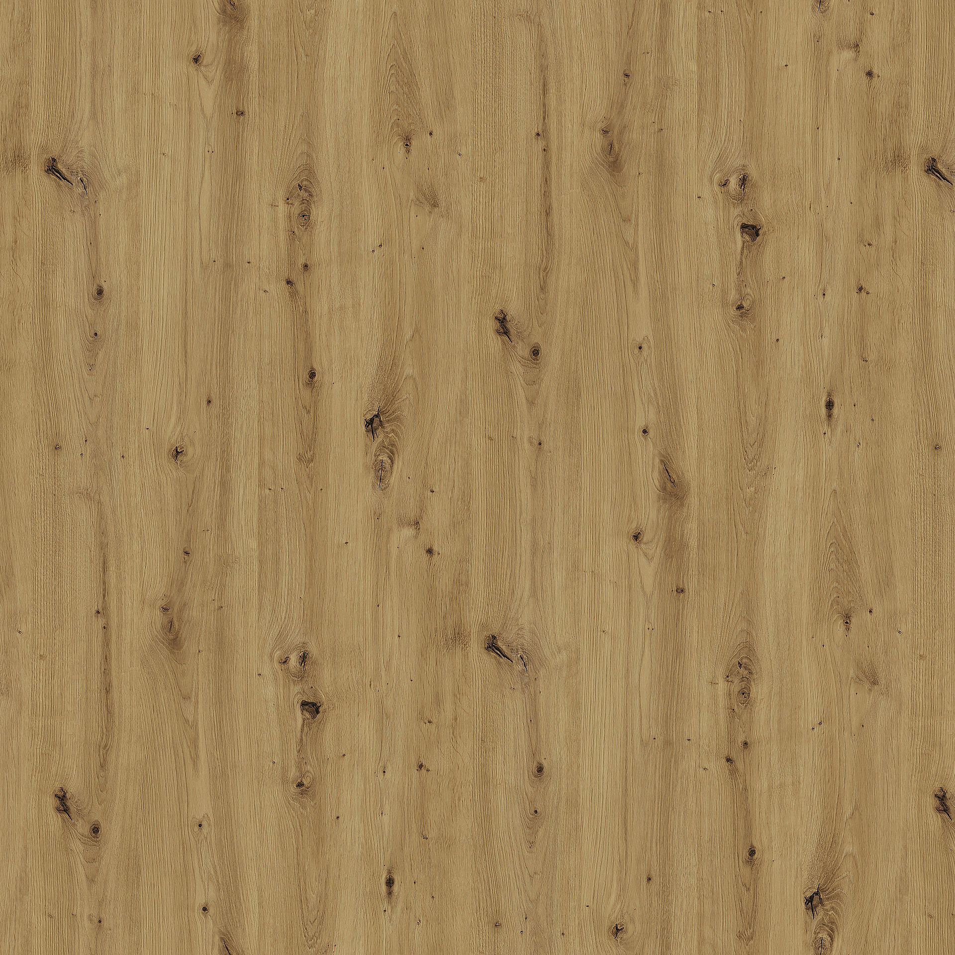 Wildeiche R20315