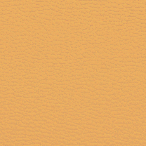 maisgelb DOL23