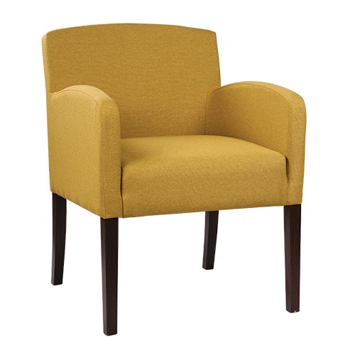 Sessel | Polstersessel Loungebereich oder Essbereich
