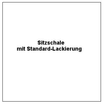 ohne B1-Lackierung