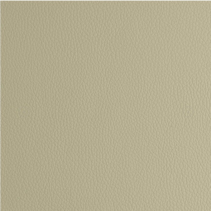 beige ARI