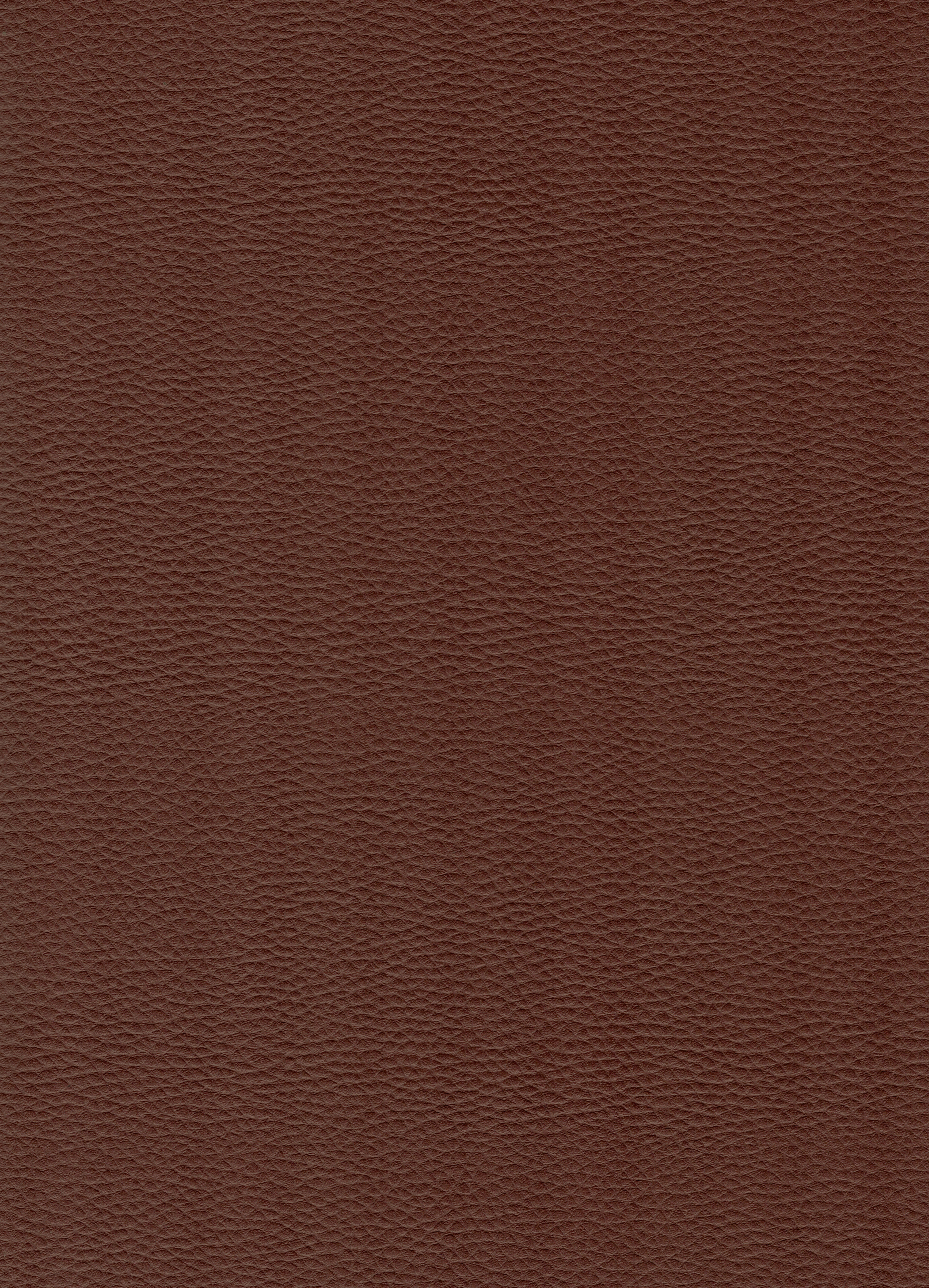 braun DOL46