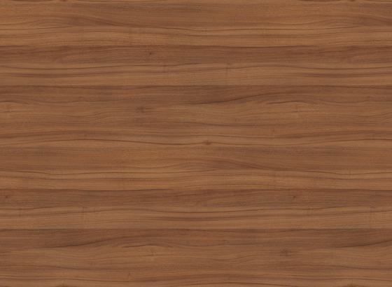 Dijon Nussbaum natur H3734