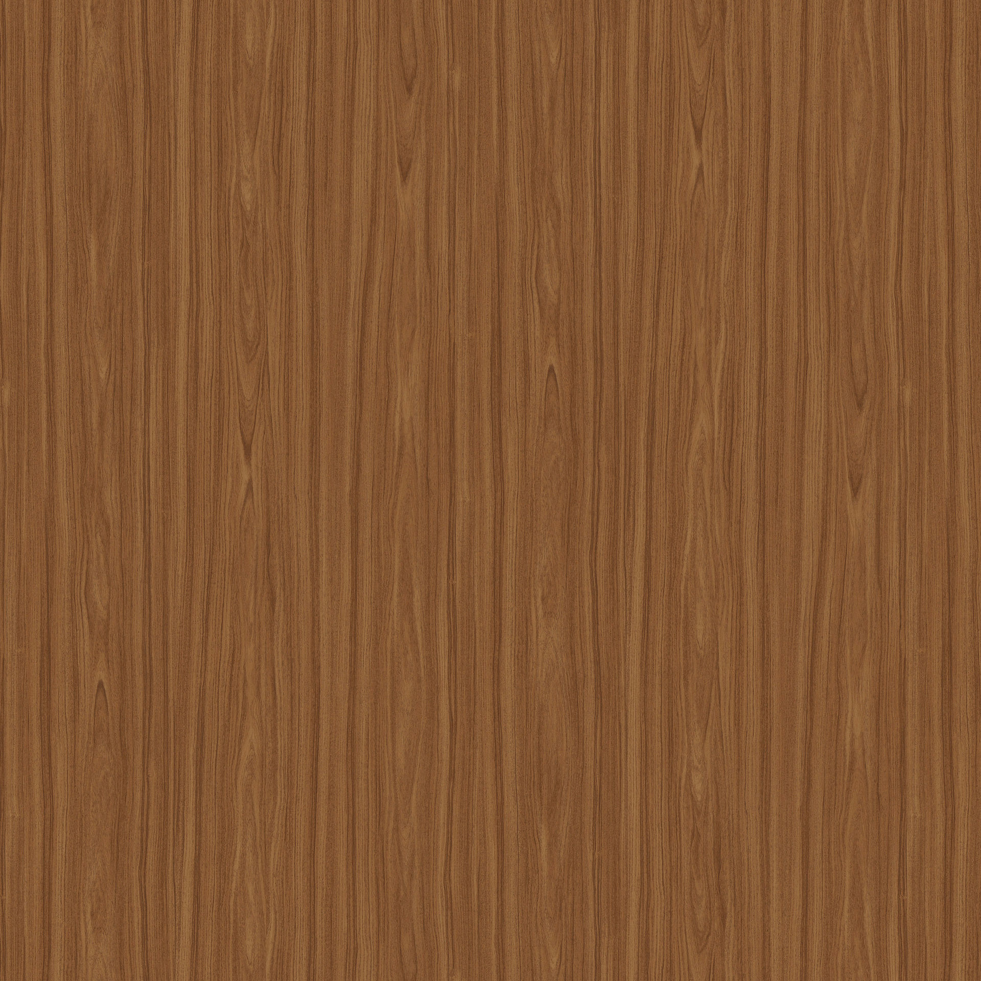 Nussbaum R30001