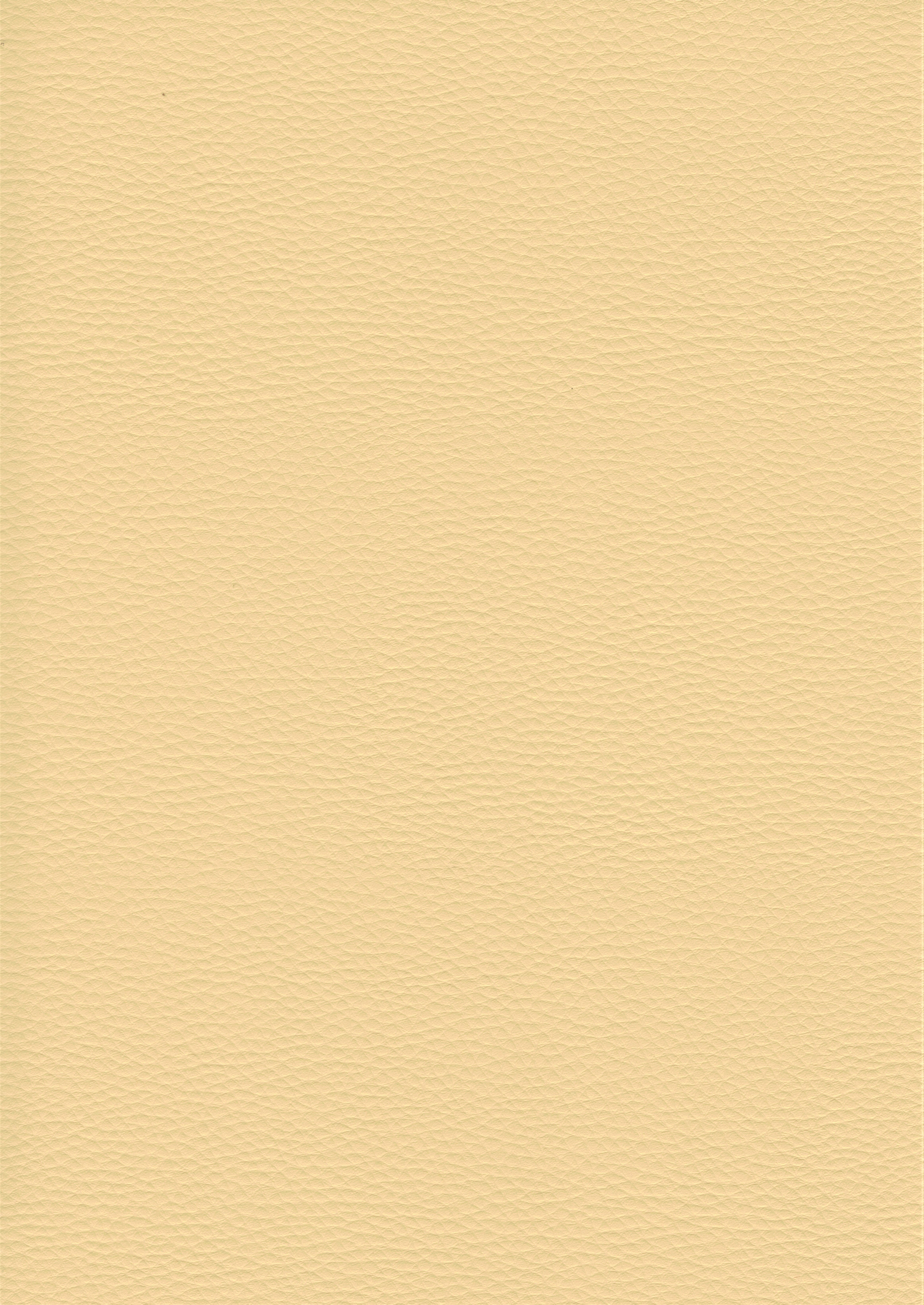 beige DOL37
