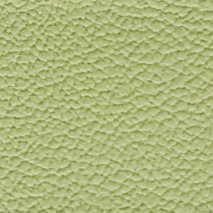 Pistazie BER033149